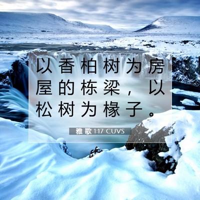 Picture 07 - 雅 歌 1:17 CUVS - 以 香 柏 树 为 房 屋 的 栋 梁 ， 以 - Bible Verse Picture