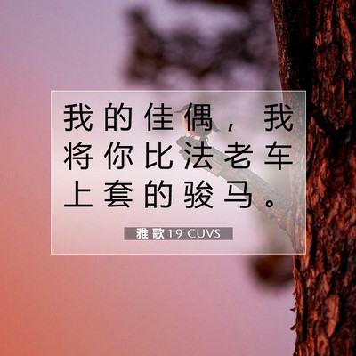 Picture 07 - 雅 歌 1:9 CUVS - 我 的 佳 偶 ， 我 将 你 比 法 老 车 - Bible Verse Picture