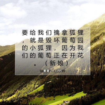Picture 07 - 雅 歌 2:15 CUVS - 要 给 我 们 擒 拿 狐 狸 ， 就 是 毁 - Bible Verse Picture