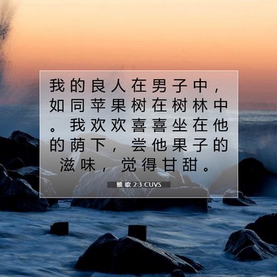 Picture 07 - 雅 歌 2:3 CUVS - 我 的 良 人 在 男 子 中 ， 如 同 苹 - Bible Verse Picture