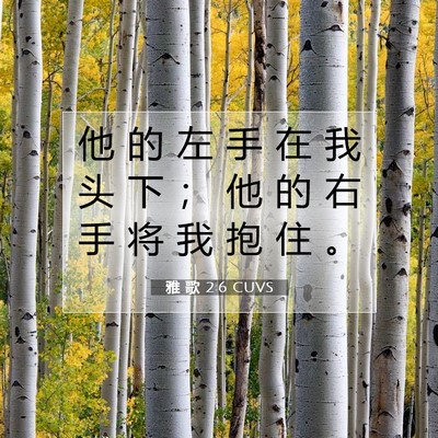 Picture 07 - 雅 歌 2:6 CUVS - 他 的 左 手 在 我 头 下 ； 他 的 右 - Bible Verse Picture