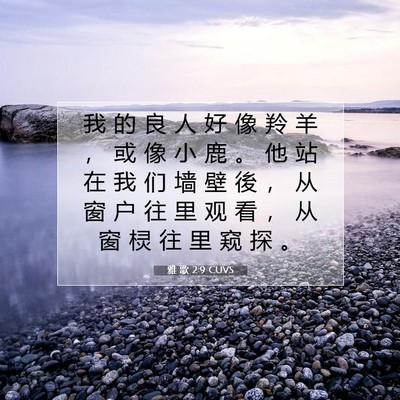 Picture 07 - 雅 歌 2:9 CUVS - 我 的 良 人 好 像 羚 羊 ， 或 像 小 - Bible Verse Picture