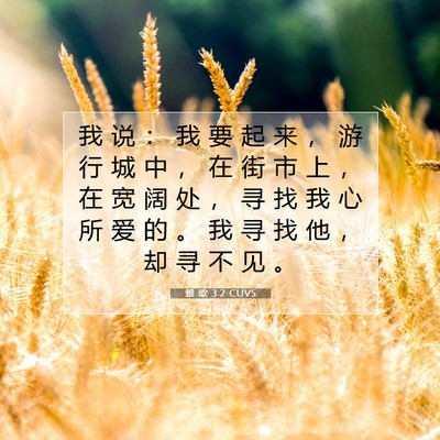 Picture 07 - 雅 歌 3:2 CUVS - 我 说 ： 我 要 起 来 ， 游 行 城 中 - Bible Verse Picture