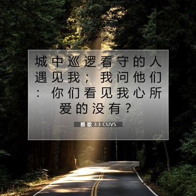 Picture 07 - 雅 歌 3:3 CUVS - 城 中 巡 逻 看 守 的 人 遇 见 我 ； - Bible Verse Picture