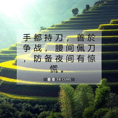 Picture 07 - 雅 歌 3:8 CUVS - 手 都 持 刀 ， 善 於 争 战 ， 腰 间 - Bible Verse Picture