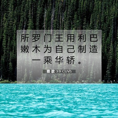 Picture 07 - 雅 歌 3:9 CUVS - 所 罗 门 王 用 利 巴 嫩 木 为 自 己 - Bible Verse Picture