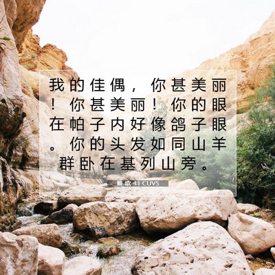 Picture 07 - 雅 歌 4:1 CUVS - 我 的 佳 偶 ， 你 甚 美 丽 ！ 你 甚 - Bible Verse Picture