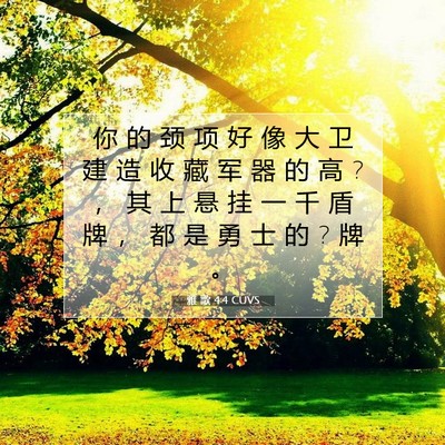 Picture 07 - 雅 歌 4:4 CUVS - 你 的 颈 项 好 像 大 卫 建 造 收 藏 - Bible Verse Picture