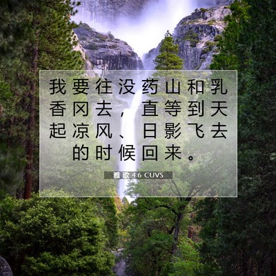 Picture 07 - 雅 歌 4:6 CUVS - 我 要 往 没 药 山 和 乳 香 冈 去 ， - Bible Verse Picture