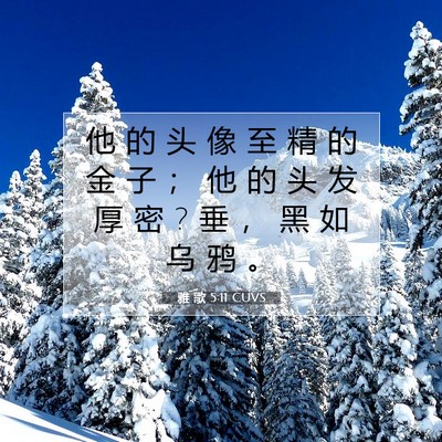 Picture 07 - 雅 歌 5:11 CUVS - 他 的 头 像 至 精 的 金 子 ； 他 的 - Bible Verse Picture