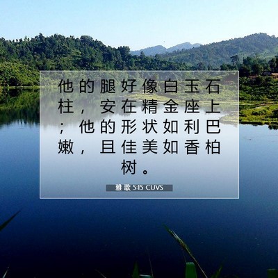 Picture 07 - 雅 歌 5:15 CUVS - 他 的 腿 好 像 白 玉 石 柱 ， 安 在 - Bible Verse Picture