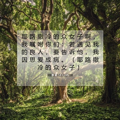 Picture 07 - 雅 歌 5:8 CUVS - 耶 路 撒 冷 的 众 女 子 啊 ， 我 嘱 - Bible Verse Picture