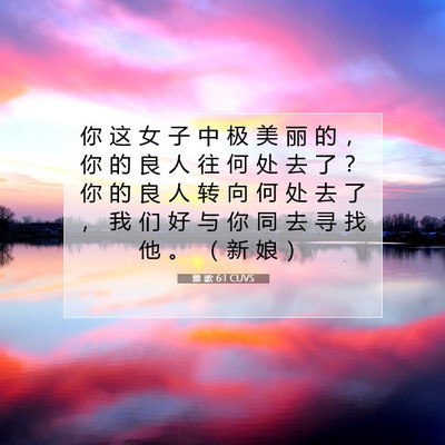 Picture 07 - 雅 歌 6:1 CUVS - 你 这 女 子 中 极 美 丽 的 ， 你 的 - Bible Verse Picture