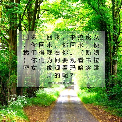 Picture 07 - 雅 歌 6:13 CUVS - 回 来 ， 回 来 ， 书 拉 密 女 ； 你 - Bible Verse Picture