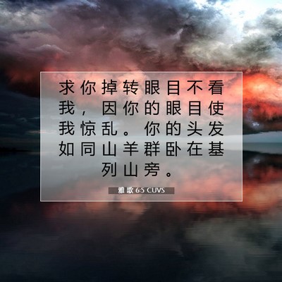 Picture 07 - 雅 歌 6:5 CUVS - 求 你 掉 转 眼 目 不 看 我 ， 因 你 - Bible Verse Picture