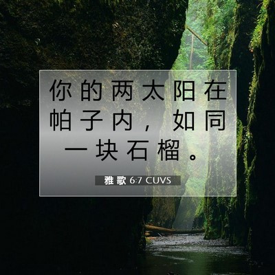Picture 07 - 雅 歌 6:7 CUVS - 你 的 两 太 阳 在 帕 子 内 ， 如 同 - Bible Verse Picture