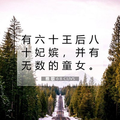 Picture 07 - 雅 歌 6:8 CUVS - 有 六 十 王 后 八 十 妃 嫔 ， 并 有 - Bible Verse Picture