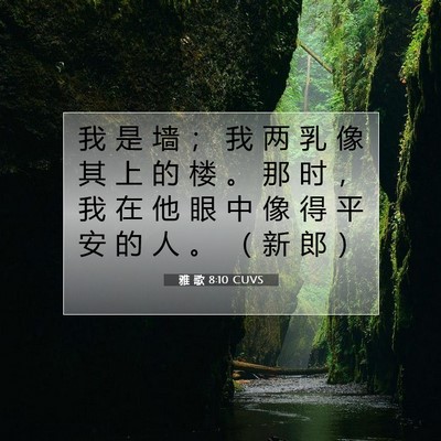 Picture 07 - 雅 歌 8:10 CUVS - 我 是 墙 ； 我 两 乳 像 其 上 的 楼 - Bible Verse Picture