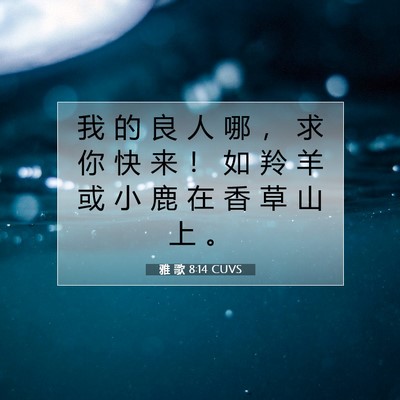 Picture 07 - 雅 歌 8:14 CUVS - 我 的 良 人 哪 ， 求 你 快 来 ！ 如 - Bible Verse Picture