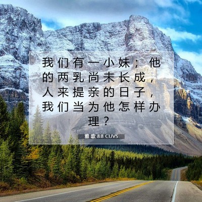Picture 07 - 雅 歌 8:8 CUVS - 我 们 有 一 小 妹 ； 他 的 两 乳 尚 - Bible Verse Picture