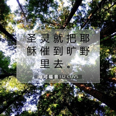 Picture 07 - 马 可 福 音 1:12 CUVS - 圣 灵 就 把 耶 稣 催 到 旷 野 里 去 - Bible Verse Picture