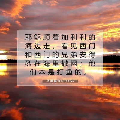 Picture 07 - 马 可 福 音 1:16 CUVS - 耶 稣 顺 着 加 利 利 的 海 边 走 ， - Bible Verse Picture