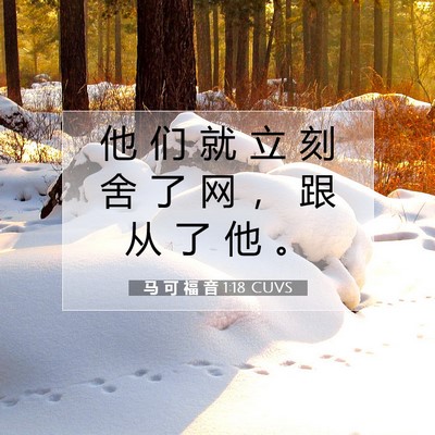 Picture 07 - 马 可 福 音 1:18 CUVS - 他 们 就 立 刻 舍 了 网 ， 跟 从 了 - Bible Verse Picture