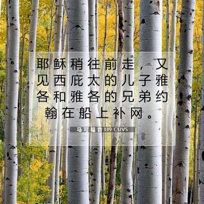 Picture 07 - 马 可 福 音 1:19 CUVS - 耶 稣 稍 往 前 走 ， 又 见 西 庇 太 - Bible Verse Picture