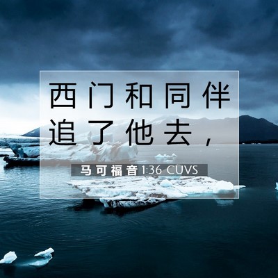 Picture 07 - 马 可 福 音 1:36 CUVS - 西 门 和 同 伴 追 了 他 去 - Bible Verse Picture
