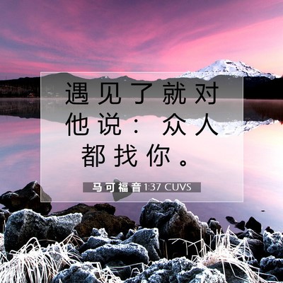 Picture 07 - 马 可 福 音 1:37 CUVS - 遇 见 了 就 对 他 说 ： 众 人 都 找 - Bible Verse Picture