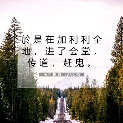 Picture 07 - 马 可 福 音 1:39 CUVS - 於 是 在 加 利 利 全 地 ， 进 了 会 - Bible Verse Picture