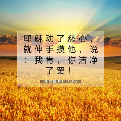 Picture 07 - 马 可 福 音 1:41 CUVS - 耶 稣 动 了 慈 心 ， 就 伸 手 摸 他 - Bible Verse Picture