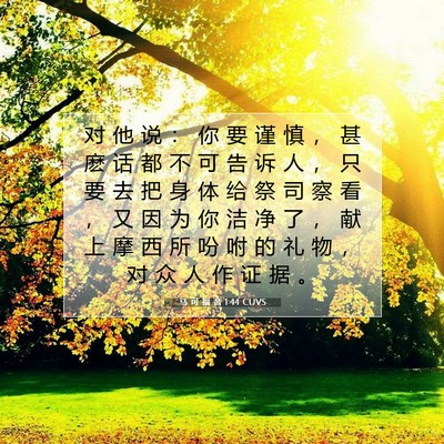 Picture 07 - 马 可 福 音 1:44 CUVS - 对 他 说 ： 你 要 谨 慎 ， 甚 麽 话 - Bible Verse Picture