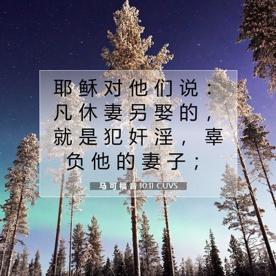 Picture 07 - 马 可 福 音 10:11 CUVS - 耶 稣 对 他 们 说 ： 凡 休 妻 另 娶 - Bible Verse Picture