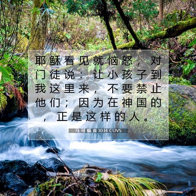 Picture 07 - 马 可 福 音 10:14 CUVS - 耶 稣 看 见 就 恼 怒 ， 对 门 徒 说 - Bible Verse Picture