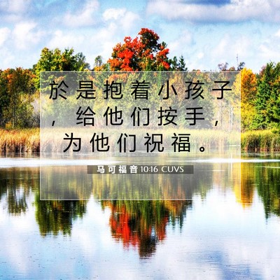 Picture 07 - 马 可 福 音 10:16 CUVS - 於 是 抱 着 小 孩 子 ， 给 他 们 按 - Bible Verse Picture