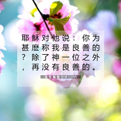 Picture 07 - 马 可 福 音 10:18 CUVS - 耶 稣 对 他 说 ： 你 为 甚 麽 称 我 - Bible Verse Picture