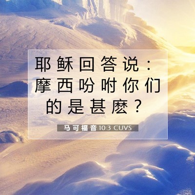 Picture 07 - 马 可 福 音 10:3 CUVS - 耶 稣 回 答 说 ： 摩 西 吩 咐 你 们 - Bible Verse Picture