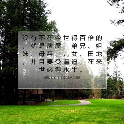 Picture 07 - 马 可 福 音 10:30 CUVS - 没 有 不 在 今 世 得 百 倍 的 ， 就 - Bible Verse Picture