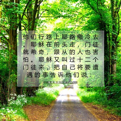 Picture 07 - 马 可 福 音 10:32 CUVS - 他 们 行 路 上 耶 路 撒 冷 去 。 耶 - Bible Verse Picture