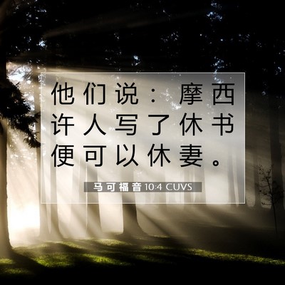 Picture 07 - 马 可 福 音 10:4 CUVS - 他 们 说 ： 摩 西 许 人 写 了 休 书 - Bible Verse Picture