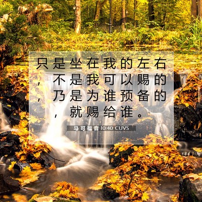 Picture 07 - 马 可 福 音 10:40 CUVS - 只 是 坐 在 我 的 左 右 ， 不 是 我 - Bible Verse Picture