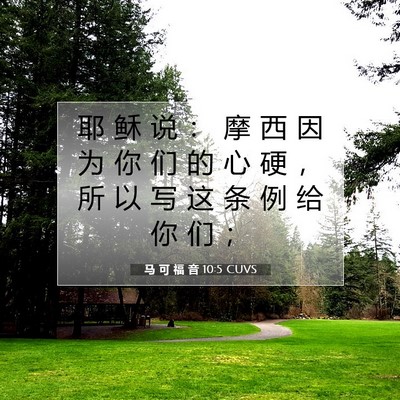 Picture 07 - 马 可 福 音 10:5 CUVS - 耶 稣 说 ： 摩 西 因 为 你 们 的 心 - Bible Verse Picture