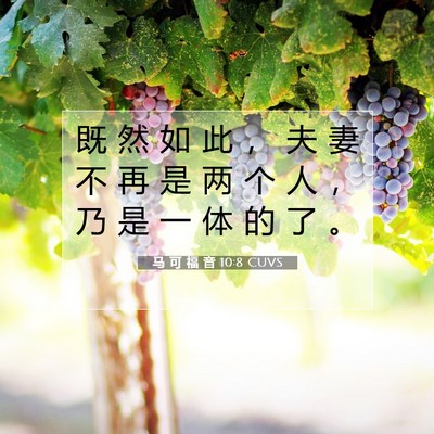 Picture 07 - 马 可 福 音 10:8 CUVS - 既 然 如 此 ， 夫 妻 不 再 是 两 个 - Bible Verse Picture