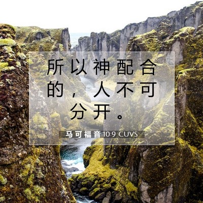 Picture 07 - 马 可 福 音 10:9 CUVS - 所 以 神 配 合 的 ， 人 不 可 分 开 - Bible Verse Picture