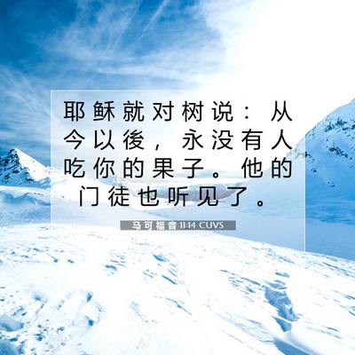 Picture 07 - 马 可 福 音 11:14 CUVS - 耶 稣 就 对 树 说 ： 从 今 以 後 ， - Bible Verse Picture