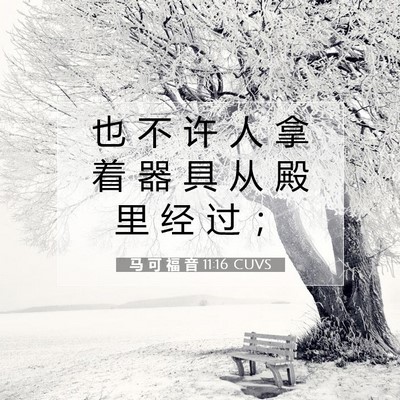 Picture 07 - 马 可 福 音 11:16 CUVS - 也 不 许 人 拿 着 器 具 从 殿 里 经 - Bible Verse Picture