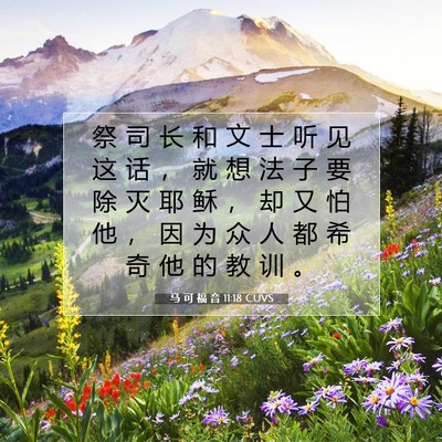 Picture 07 - 马 可 福 音 11:18 CUVS - 祭 司 长 和 文 士 听 见 这 话 ， 就 - Bible Verse Picture
