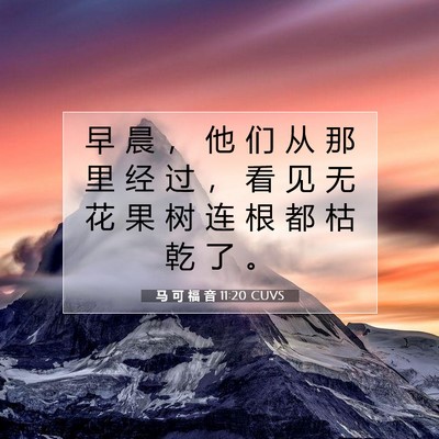 Picture 07 - 马 可 福 音 11:20 CUVS - 早 晨 ， 他 们 从 那 里 经 过 ， 看 - Bible Verse Picture