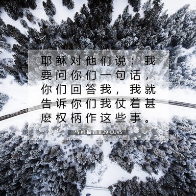Picture 07 - 马 可 福 音 11:29 CUVS - 耶 稣 对 他 们 说 ： 我 要 问 你 们 - Bible Verse Picture